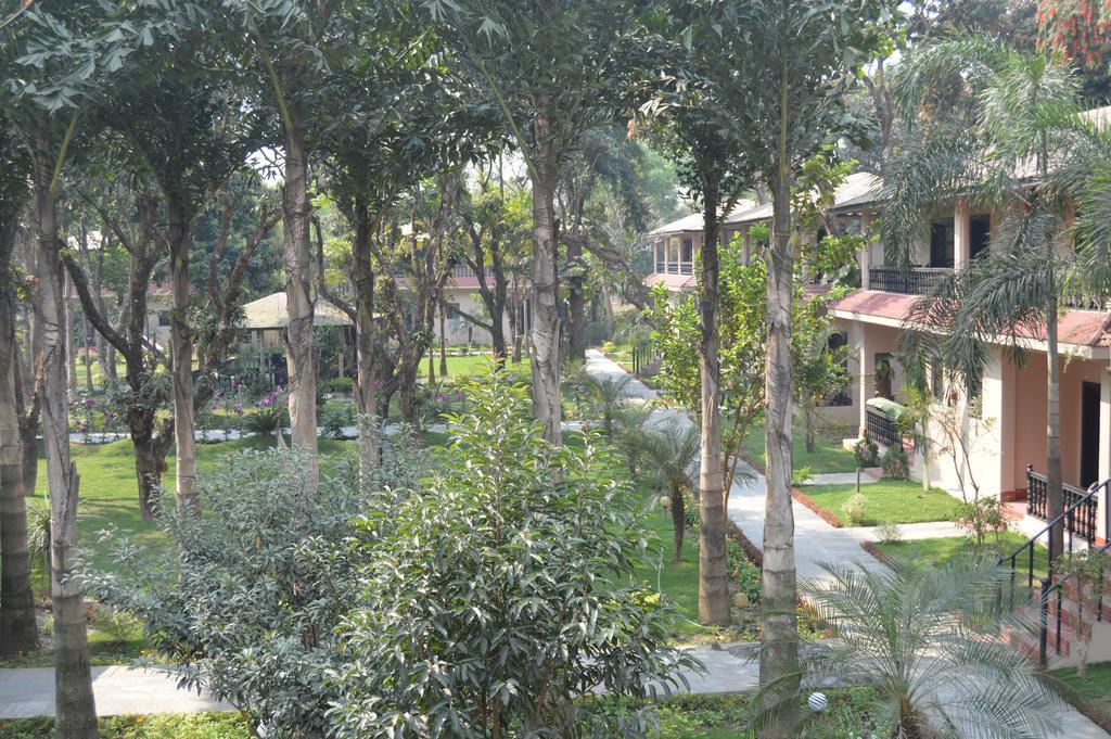 Hotel Parkland Sauraha Exterior photo